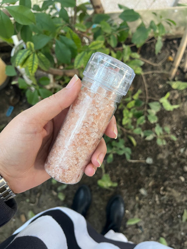 نمک صورتی با نمکساب